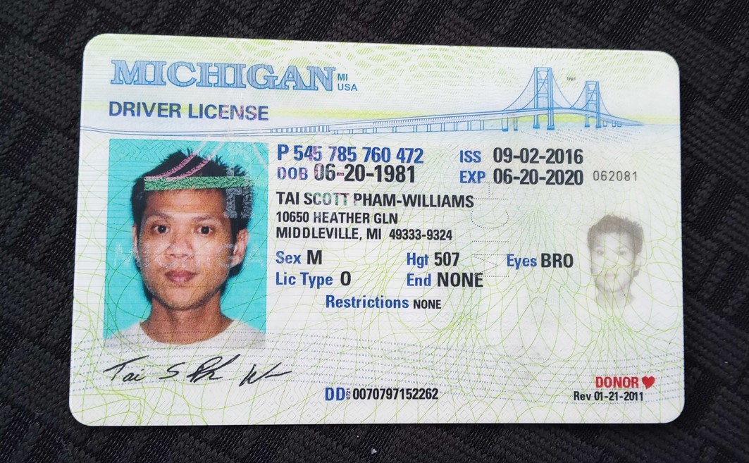 LifeLike Real PSD DL - Image 3