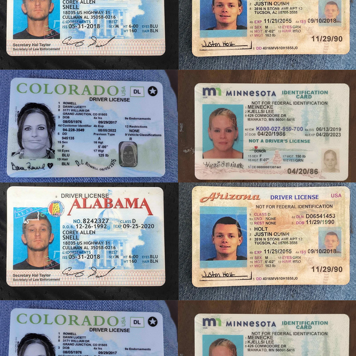 Real Driving Licenses