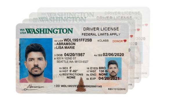 Bulk Driving License Generator